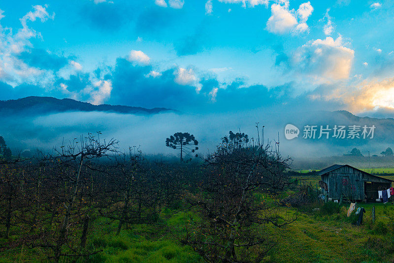 Urubici -圣卡塔琳娜山脉黎明的乡村景色